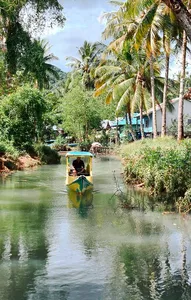 Passenger paddling along a narrow mangrove channel beneath palm trees on a day trip exploring hidden waterways in Labuan Bajo