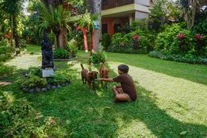 Man kneeling to pet two brown dogs in a green garden courtyard at a Bali Conservation Adventures sanctuary
