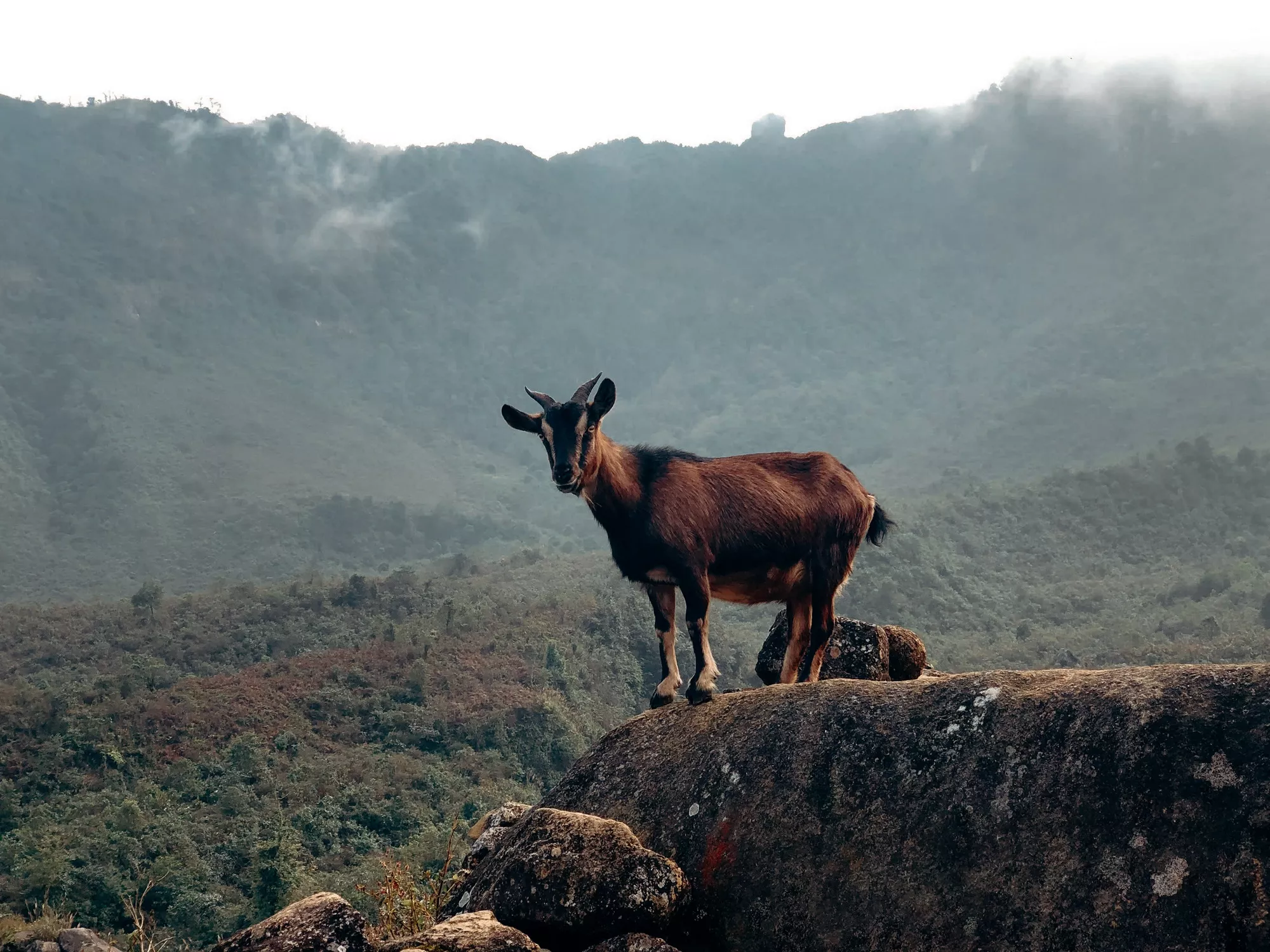 Sapa, Vietnam