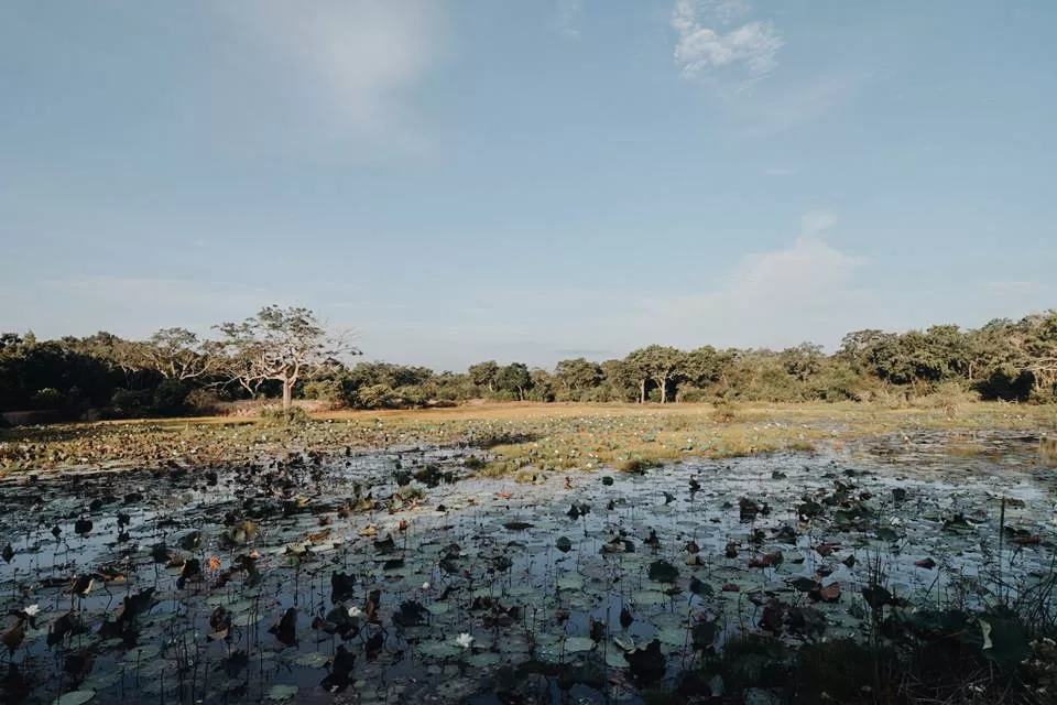 Wilpattu, Sri Lanka