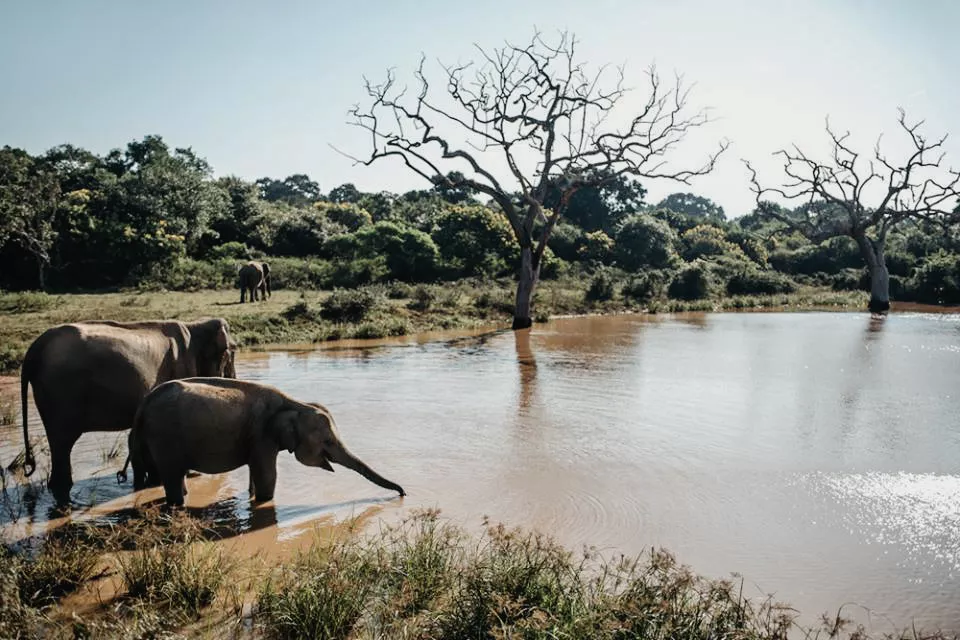 Yala, Sri Lanka