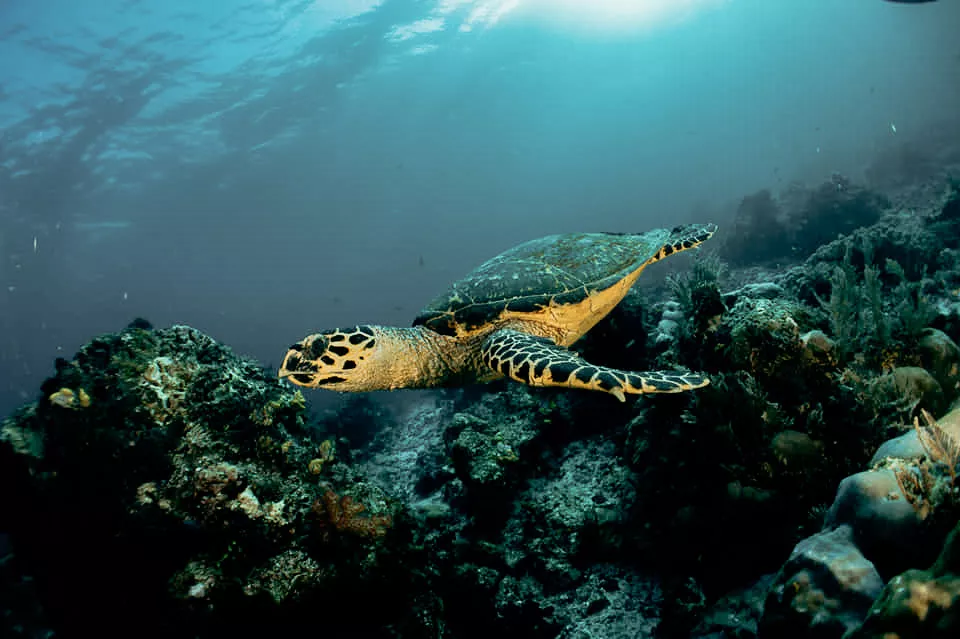 Lombok, Indonesia