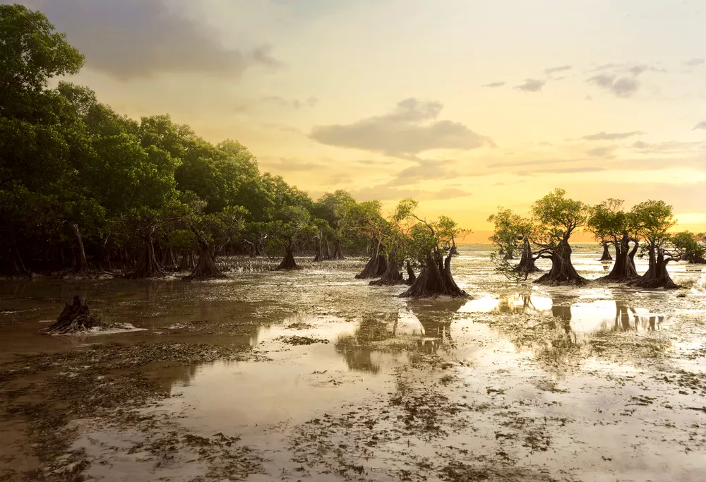 Sumba, Indonesia