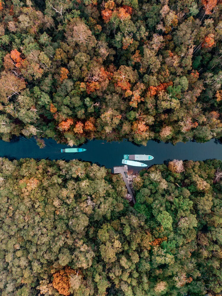 Tanjung Puting, Indonesia