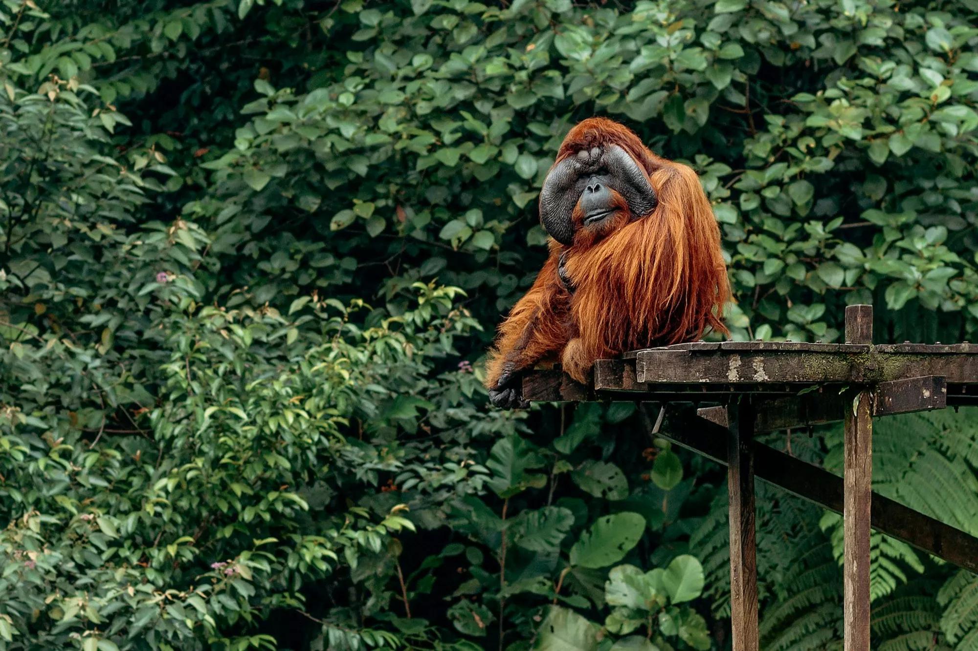 Kuching, Malaysia