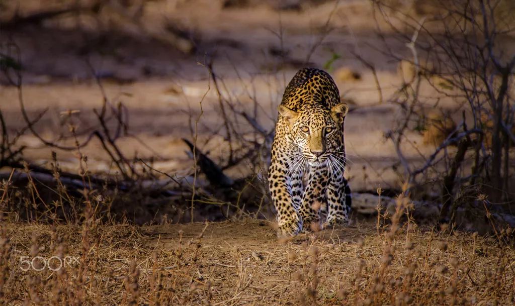 Yala, Sri Lanka
