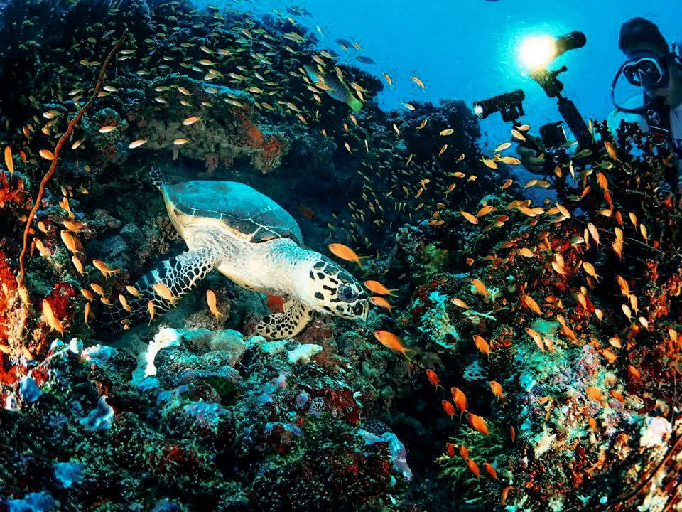 Kenting national park weather