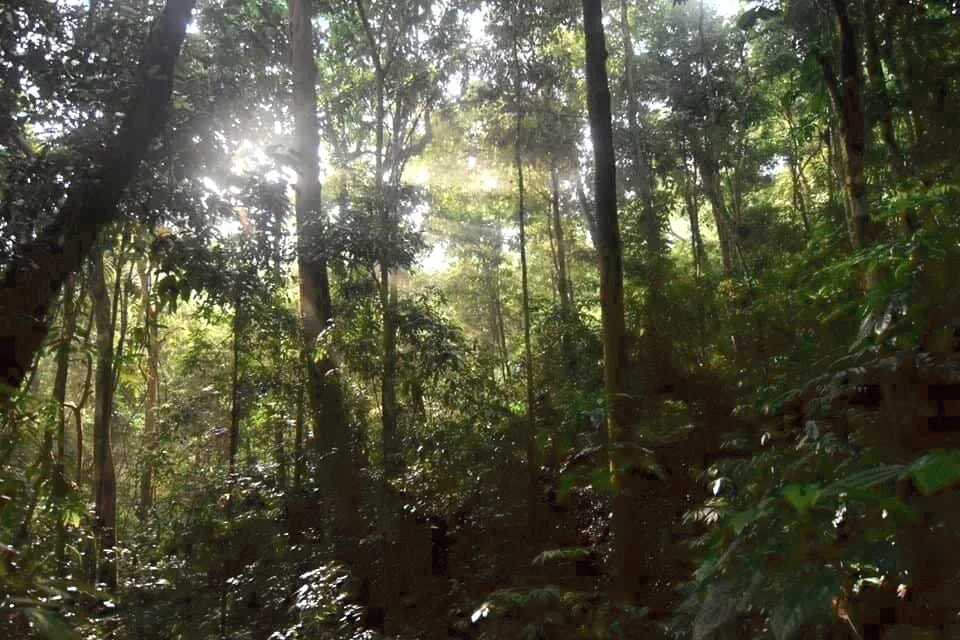 Taman Negara Gunung Leuser, Indonesia