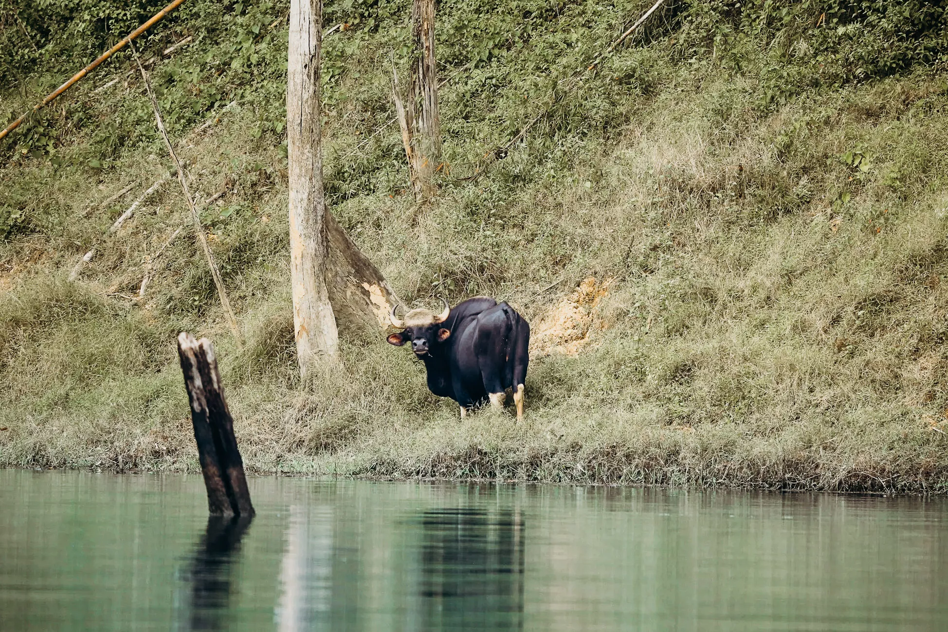 Khao Sok, Thailand