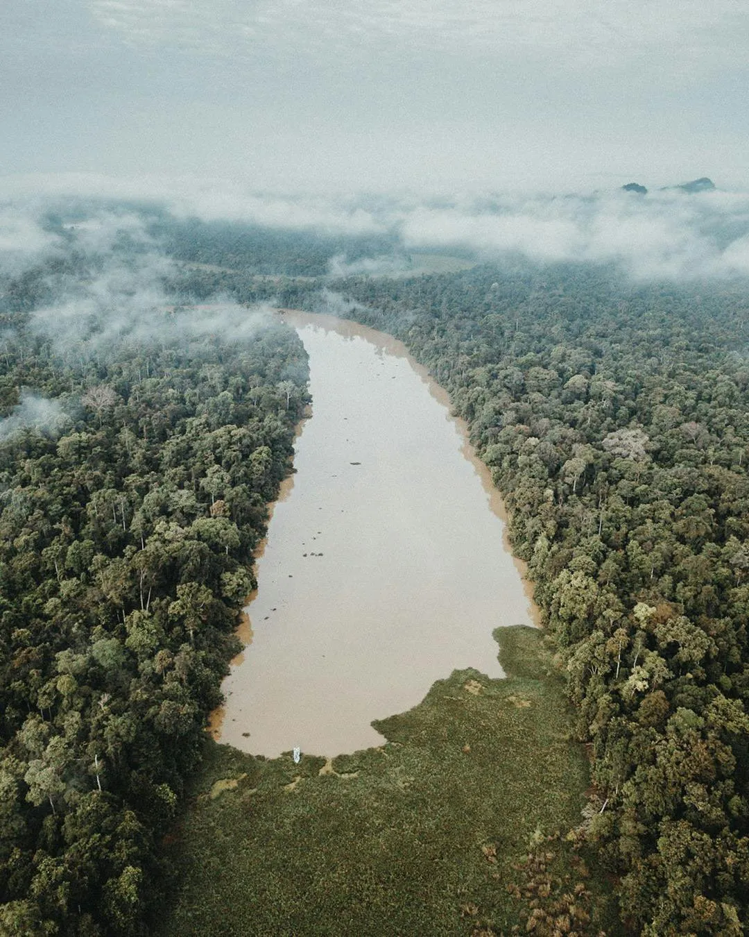 Sungai Kinabatangan: Panduan Utama Anda + Aktiviti Terbaik [2026]