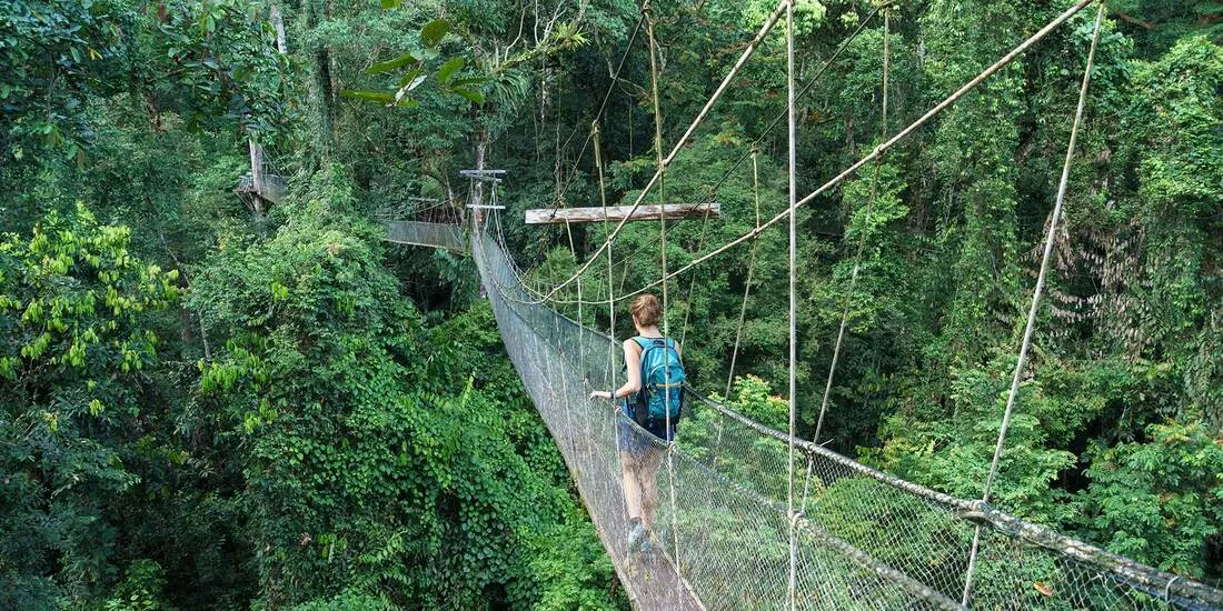 Taman Negara Mulu, Malaysia
