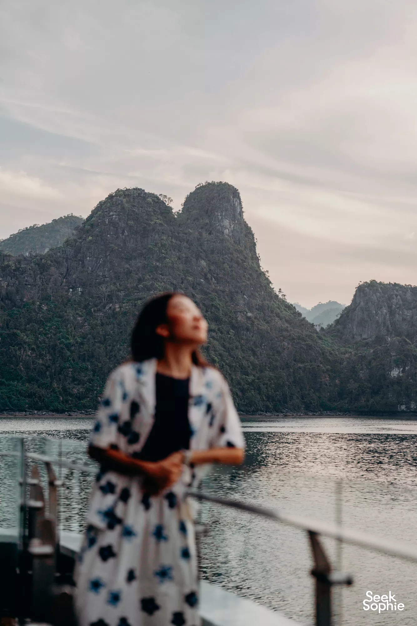 Teluk Halong, Vietnam