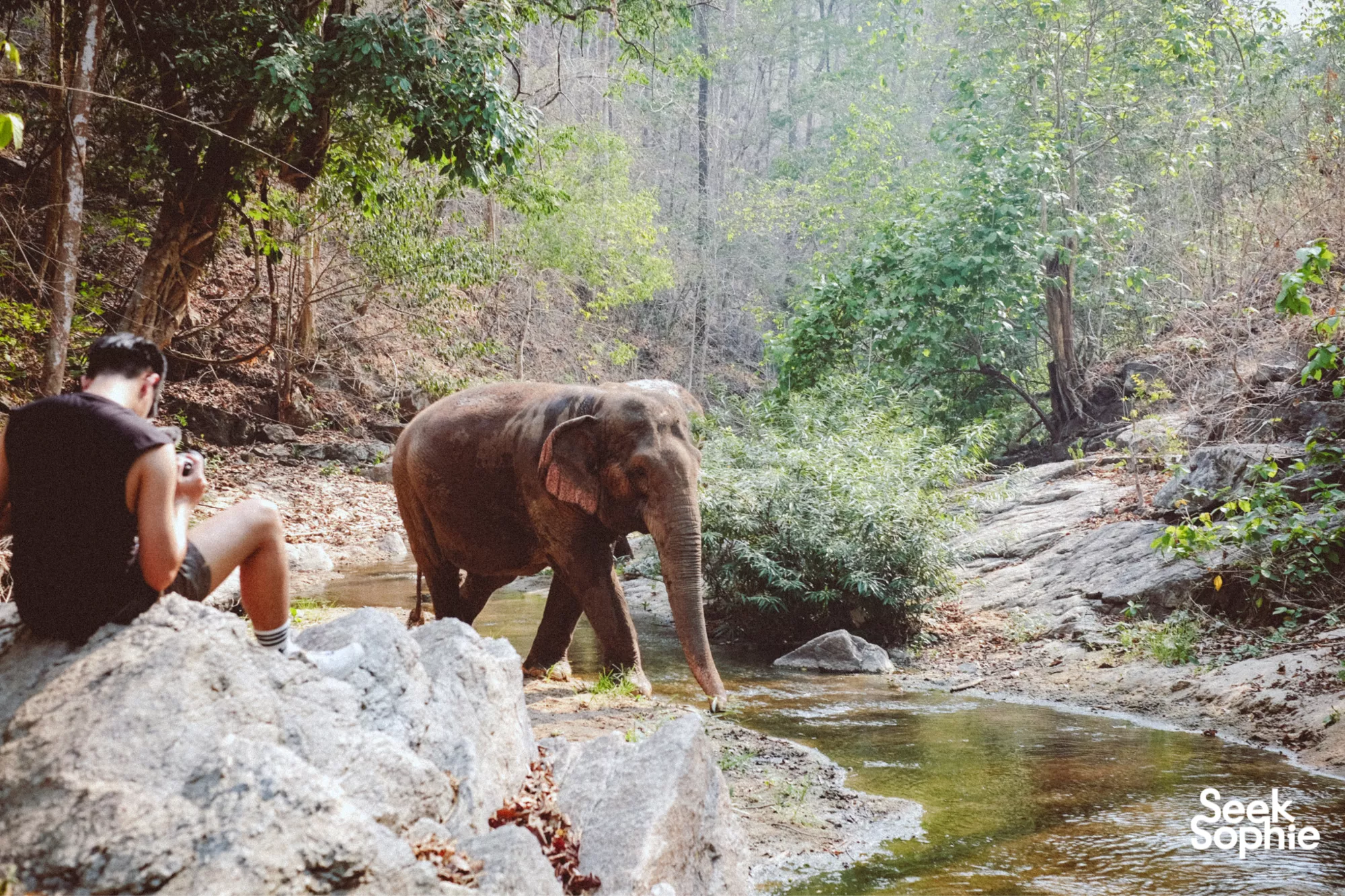 Chiang Mai, Thailand