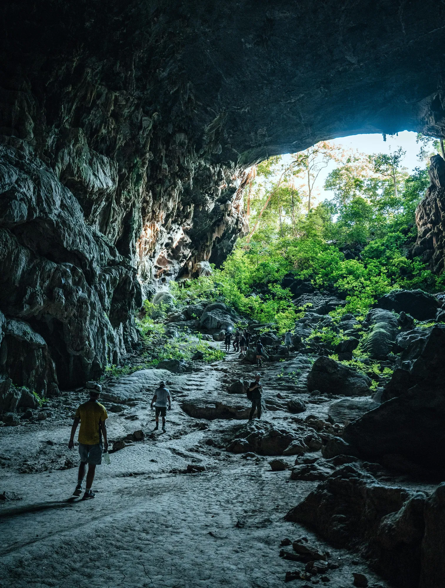 Phong Nha: Semua yang Perlu Kamu Tahu