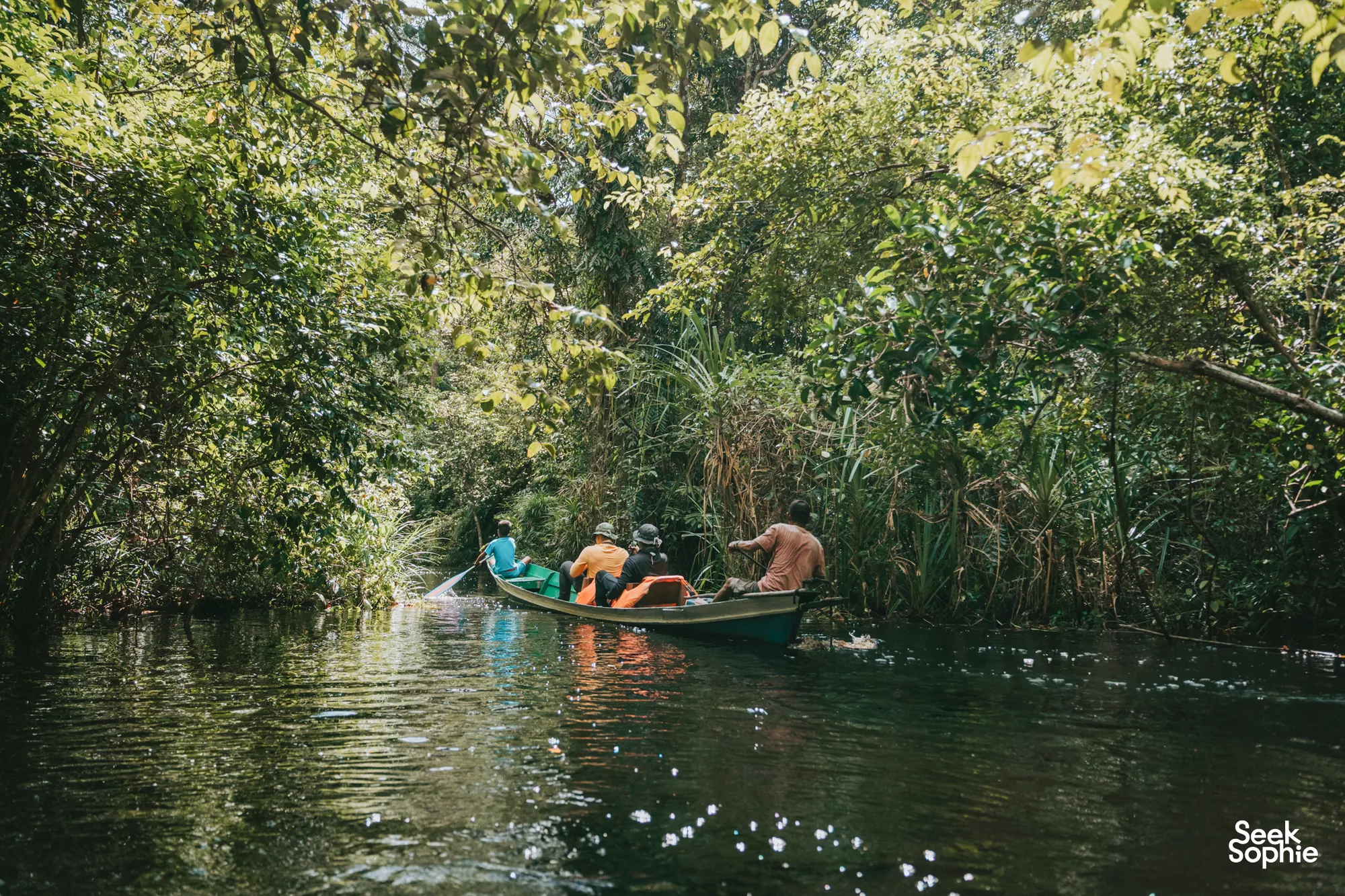 Tanjung Puting, Borneo, Indonesia