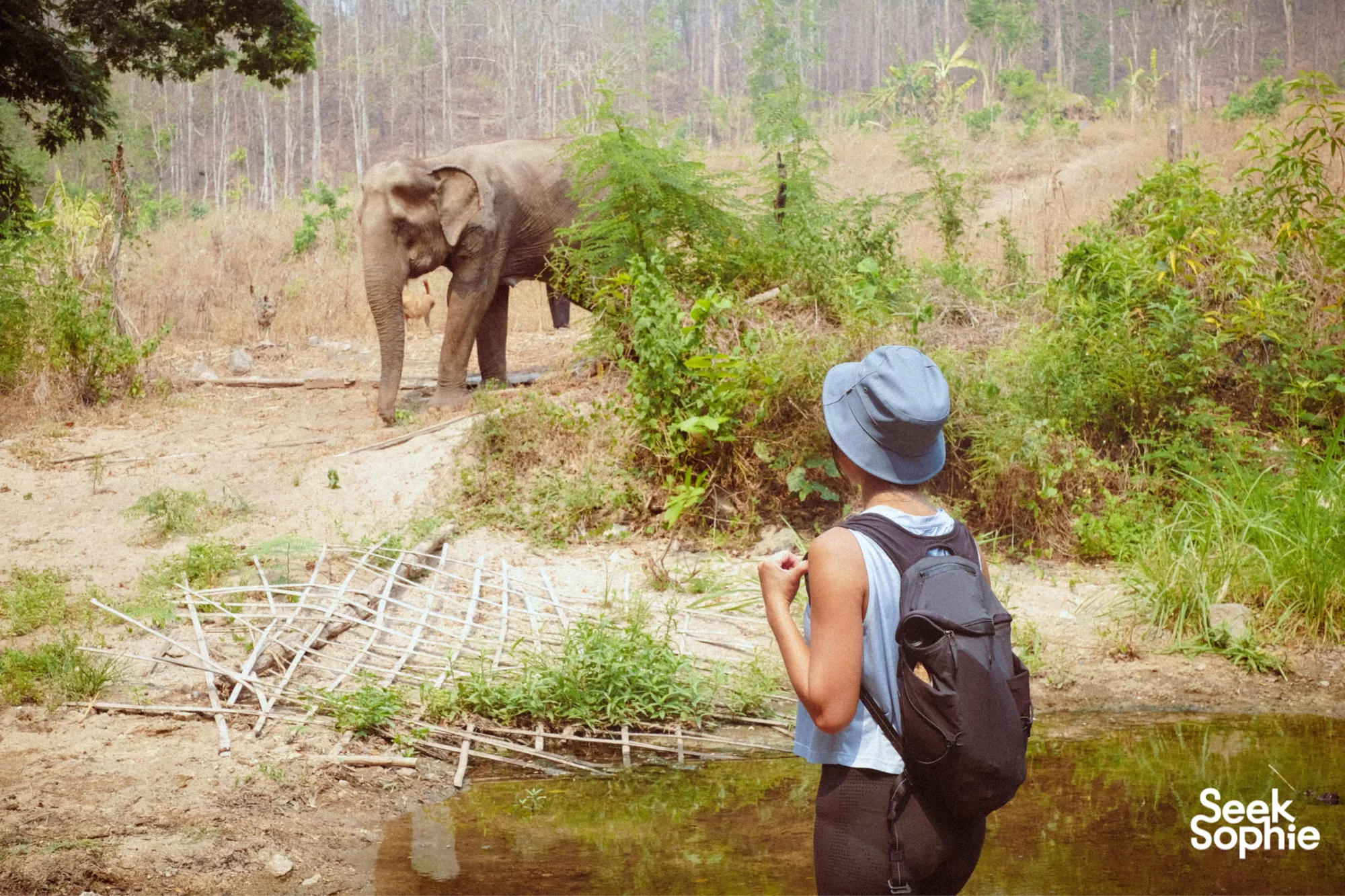 Chiang Mai, Thailand