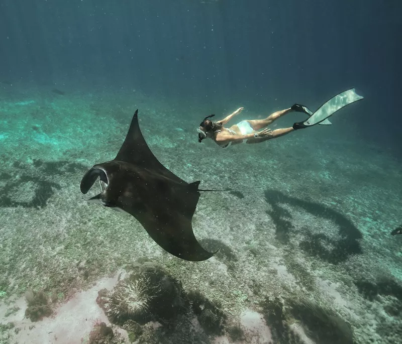 Taman Nasional Komodo, Indonesia