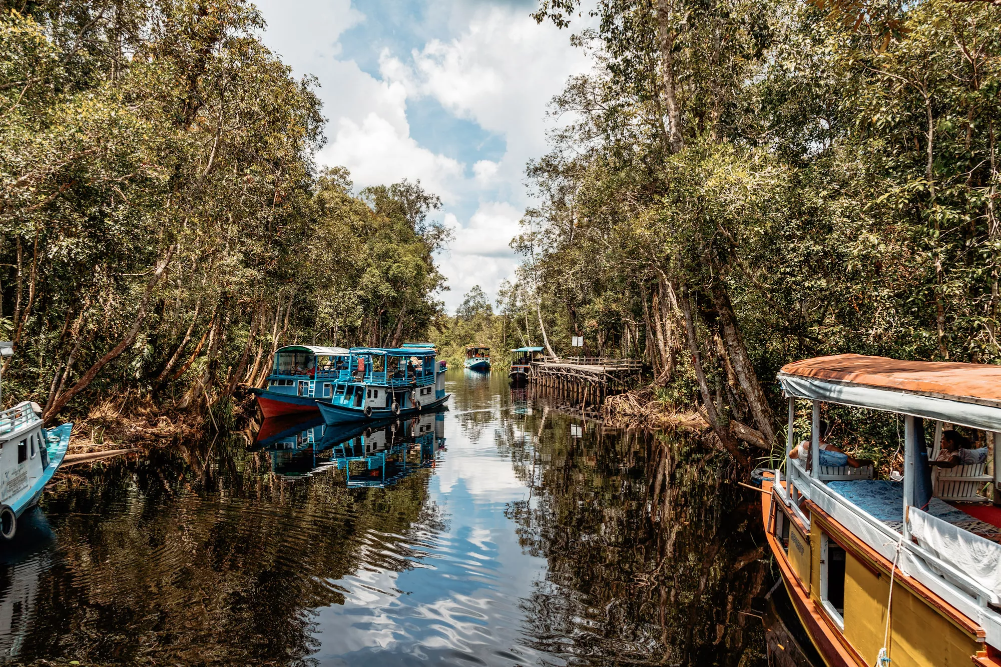Tanjung Puting, Borneo, Indonesia
