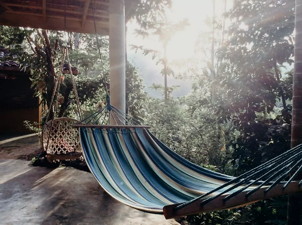 Hutan Sinharaja, Sri Lanka