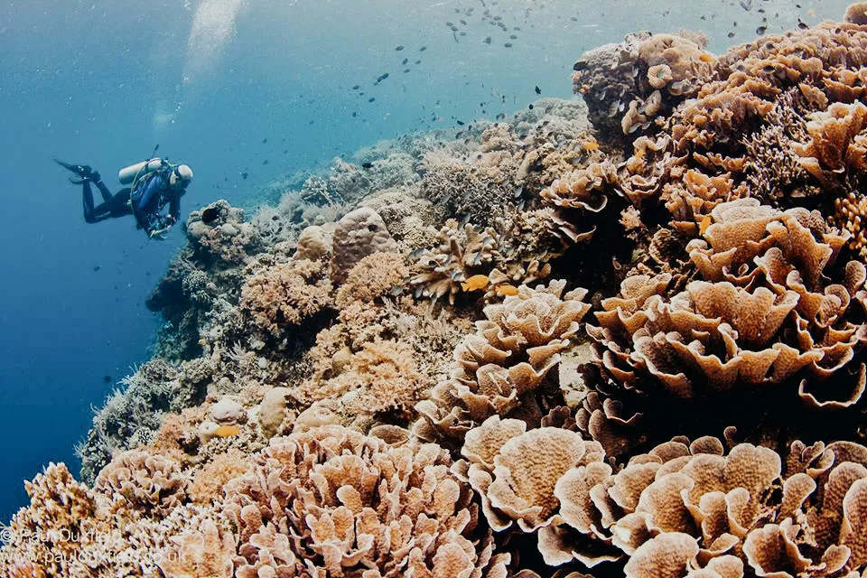 Taman Negara Bunaken, Indonesia